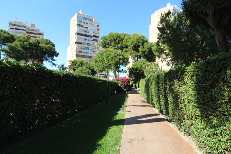 Foto 4dffaeb8-665a-4e6c-ad7e-a8848b2fff50. Pis a avenida de playamar 7 a Playamar - Benyamina Torremolinos