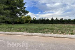 Terreny residencial a Cl bàsquet .