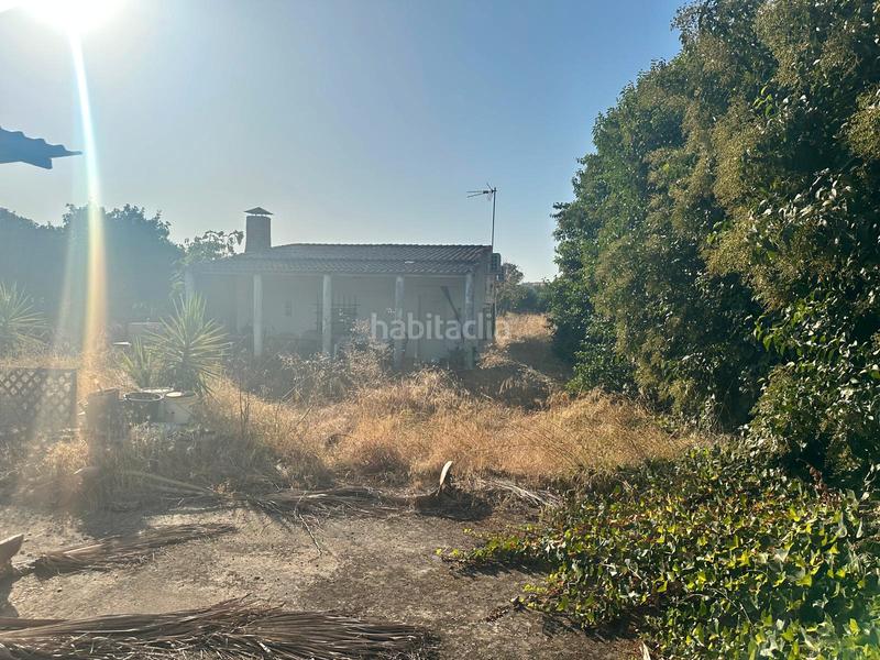 Foto b3222284-ab4d-499c-bc60-6dd84a83c0a5. Masia a carretera barbaño 6 a Montijo