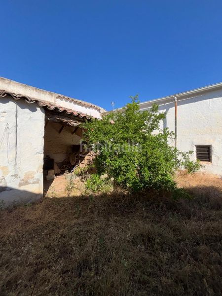 Foto 2bff78df-59ff-472a-855f-161f3d8b8c0d. Casa amb aparcament a Moral de Calatrava