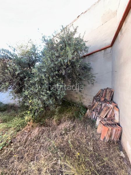 Foto 34f4b2ad-2956-4d7a-984c-fb208c5ff01a. Casa amb aparcament a Moral de Calatrava