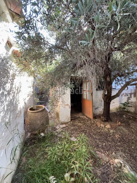 Foto 861dcb99-c256-43fe-9065-d40bfe5f504c. Casa amb aparcament a Moral de Calatrava