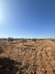 Finca rústica a Valdepeñas
