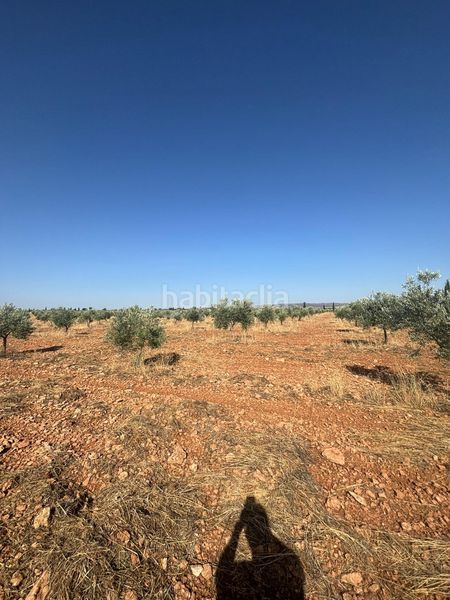 Foto 16c7ab83-e767-4ea8-b777-1d13f7f3b882. Finca rústica a Valdepeñas
