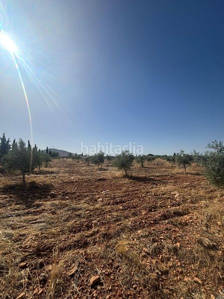 Foto 79be81c0-e9d6-4f77-a807-f291e30c2dce. Finca rústica a Valdepeñas