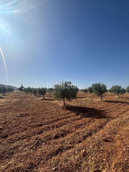 Foto d29781c8-a711-4077-a84f-e698c27321f5. Finca rústica a Valdepeñas