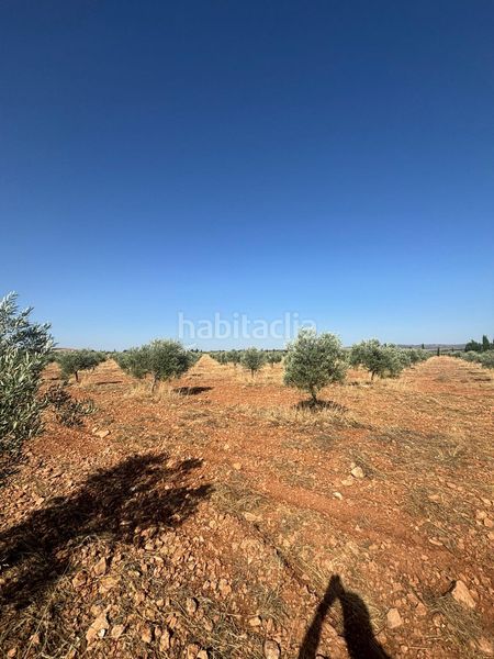 Foto d58ce1ab-a592-4d2c-bd4e-e42343948831. Finca rústica a Valdepeñas