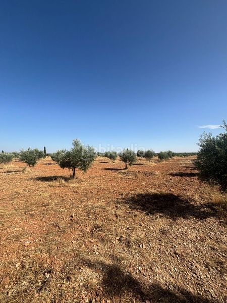 Foto d62aab67-800c-49ab-bbb1-93b786cf0c75. Finca rústica a Valdepeñas