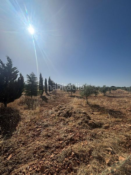 Foto dd45c234-fec1-486d-8749-749da2334b08. Finca rústica a Valdepeñas