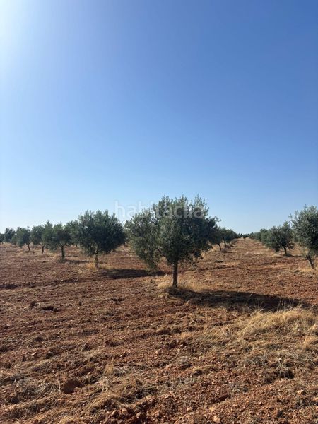 Foto fdcca04a-cb96-4a7f-928c-ad673c810835. Finca rústica a Valdepeñas