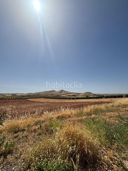Foto 42bddb20-8f6b-4c76-b274-25d65f16a801. Casa a Alcubillas