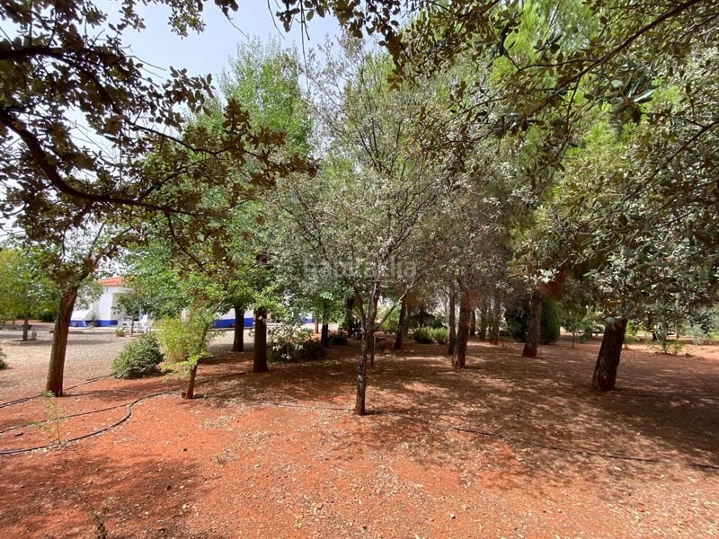 Foto 10b2745a-4717-4c09-b8dd-23aad85bf315. Masia a Torrenueva