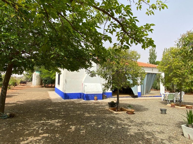 Foto 2802cc9e-8f73-409b-b002-81ad317b1446. Masia a Torrenueva