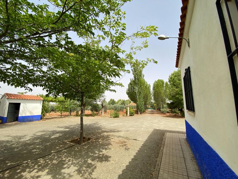 Foto 29dbbd89-0f89-4753-b8cd-cc5689394093. Masia a Torrenueva
