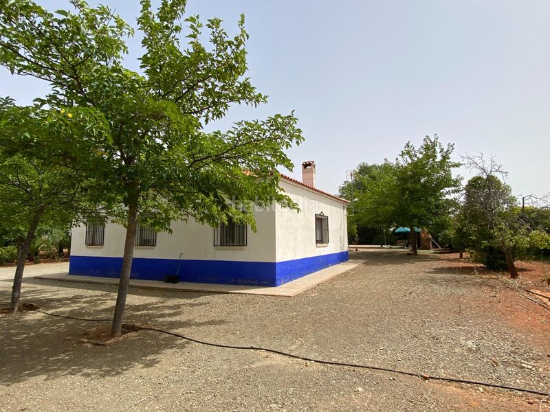 Foto ca743699-25bc-4e6a-a948-39cb13ae18cc. Masia a Torrenueva