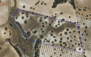 Rural plot in Villamanrique. Finca rústica en venta excelente ubicación y gran potencial