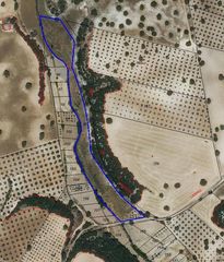 Rural plot in Villamanrique. Se vende finca rústica en un enclave natural estratégico