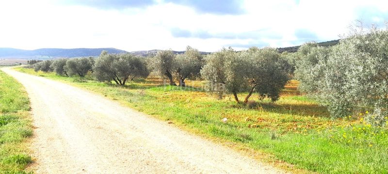 Foto c8a1b719-f929-4a0b-95ec-df53468c8533. Finca rústica a Valdepeñas