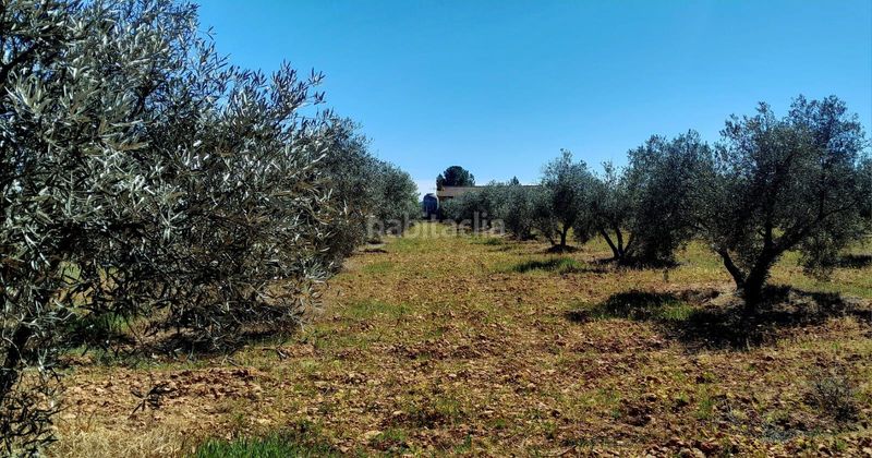 Foto 4fc5a22e-27ca-49e8-950d-6b0d9e7c7c39. Finca rústica a Valdepeñas