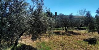 Finca rústica a Valdepeñas