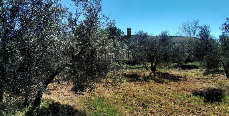 Foto 944cc056-c03b-4cfb-983d-c59853e72508. Finca rústica a Valdepeñas