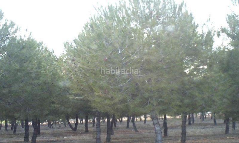 Foto 0d52e919-b402-4434-9a22-6545349626f3. Finca rústica a Valdepeñas