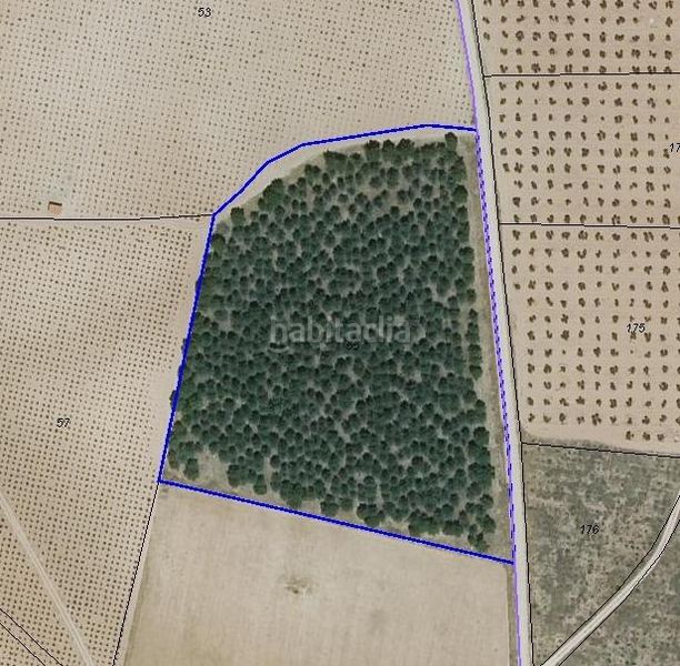 Foto 5975726a-6581-4285-a8ce-d21d91a7d6af. Finca rústica a Valdepeñas