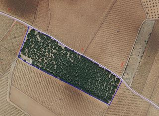 Finca rústica a Valdepeñas