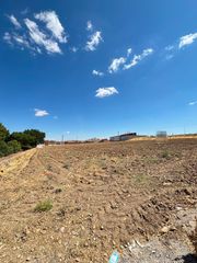 Terreny residencial a Almuradiel. Gran parcela urbana a pie de carretera