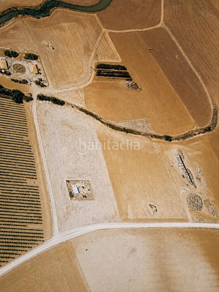 Foto 1a590f29-35ae-4108-820a-a3cef62c49a6. Finca rústica a Alcubillas