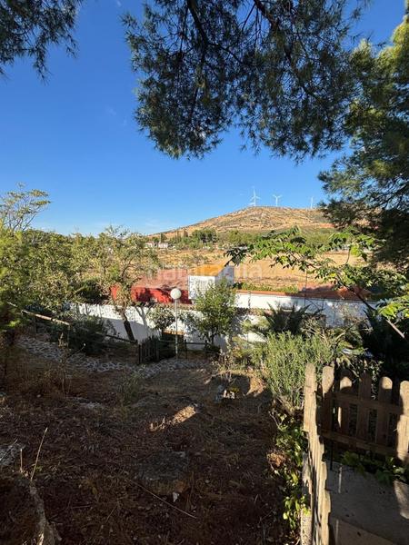 Foto 4d5c73ad-d3f4-446a-bf2e-51cad3113a07. Maison avec parking piscine dans Valdepeñas