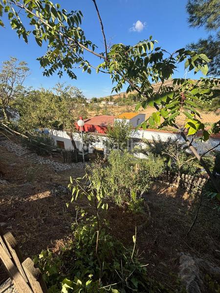 Foto c42f31b6-d653-4d12-b288-f474300b59da. Maison avec parking piscine dans Valdepeñas