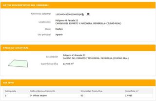 Finca rústica a Membrilla. Venta de parcela de secano