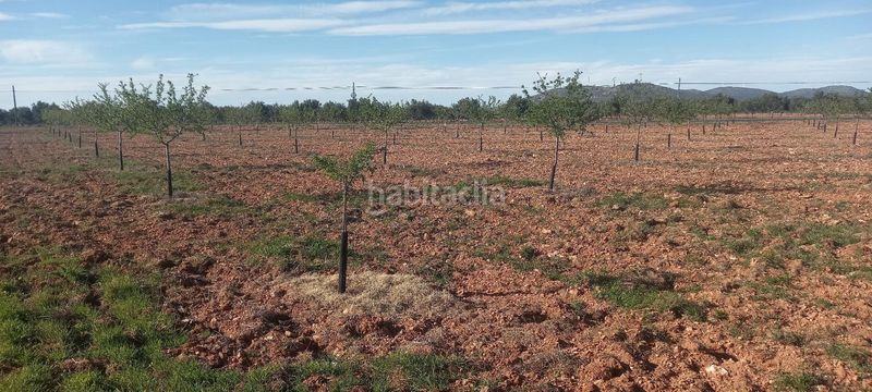 Foto 5d1d3f01-5a16-45fd-a724-6912dcb6fab3. Finca rústica a Valdepeñas