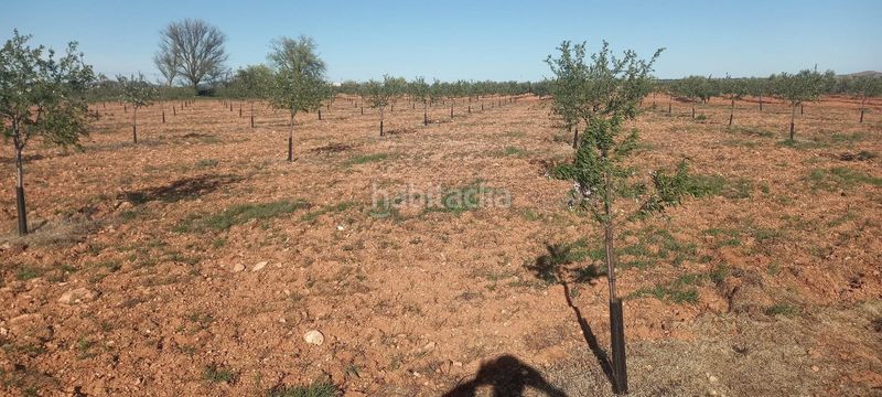 Foto fcf67372-a53d-478b-9c94-46755f87815f. Finca rústica a Valdepeñas