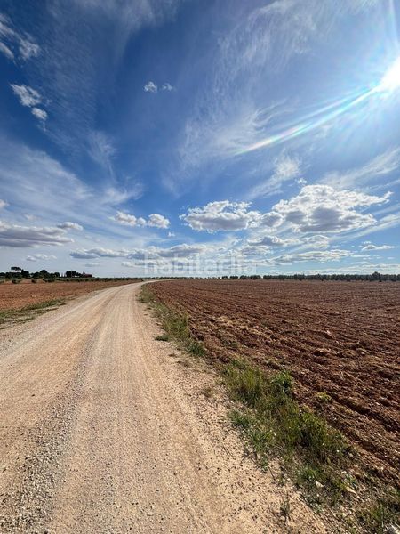 Foto 55904089-6824-4c62-ac66-45313afa2baf. Finca rústica a Valdepeñas