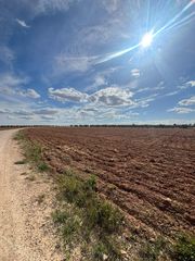 Finca rústica en Valdepeñas. Tu proyecto a medida terreno estratégico y listo para empezar