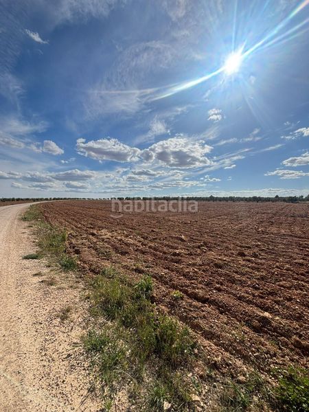 Foto cb8c2f9e-e40d-4d0f-a4e3-bb8dcdba090b. Finca rústica a Valdepeñas