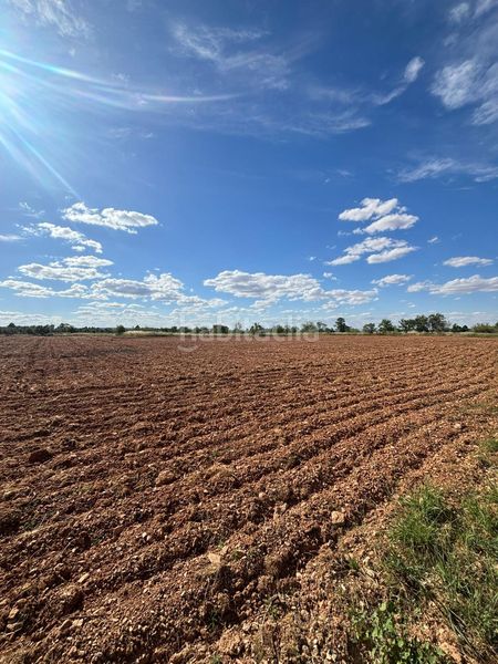 Foto f25755f5-6e6a-4d3e-8323-0e61644067e4. Finca rústica a Valdepeñas