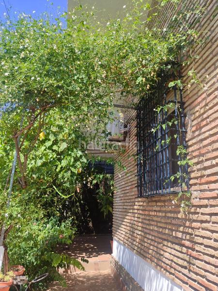 Foto 5392cc2b-69af-448c-bdcc-61e265b6a5cb. Chalet with pool in Santa Eufemia Tomares