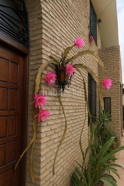 Foto cfb0e92c-bfc8-4f2f-8ab2-ec3b9892ea59. Chalet with pool in Santa Eufemia Tomares