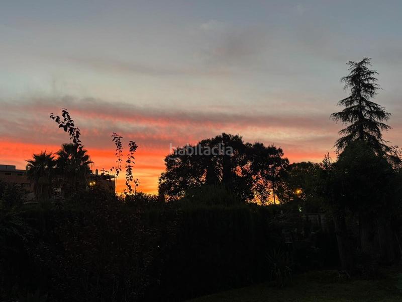 Foto da040dfc-41f1-478c-ace0-a1f3a1595741. Terrain résidentiel dans Nuevo Bulevar Mairena del Aljarafe