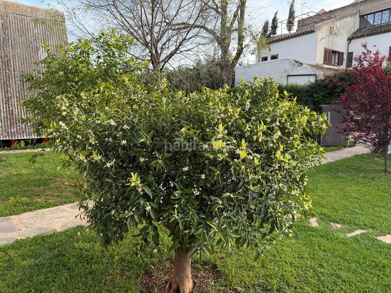 Foto 78fab1ad-e937-403f-ba17-dc1b865a517c. Terreno residenziale in Nuevo Bulevar Mairena del Aljarafe