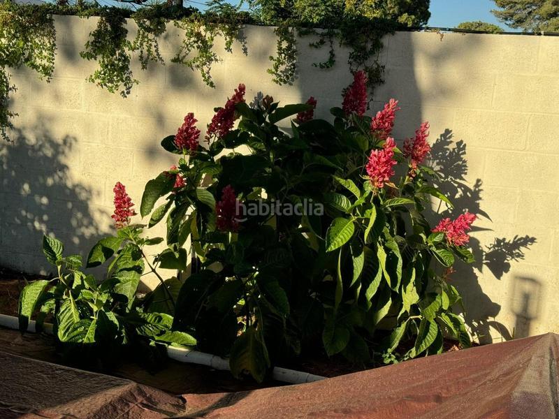 Foto cdced4a5-2a5f-45e6-84d8-aa137b2504b2. Terreno residenziale in Nuevo Bulevar Mairena del Aljarafe