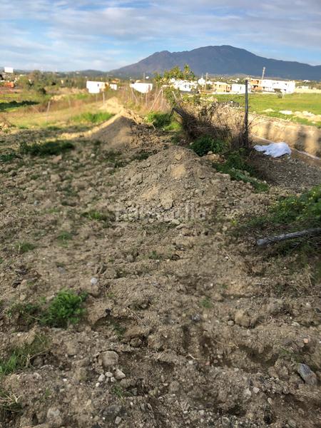 Foto d965f125-7b58-4ffc-ba54-8ce2c5942266. Residential plot in La Concha - Resina Golf Estepona
