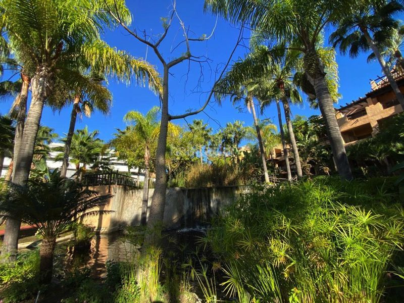 Foto e74066dd-6f6a-4d9c-a80d-a207c10755af. Planta baixa amb aparcament piscina a Nueva Atalaya Estepona