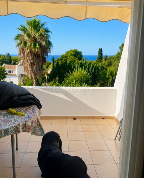 Foto f3172299-8e68-4456-aaea-ff9f183d1f14. Estudi a Seghers Estepona