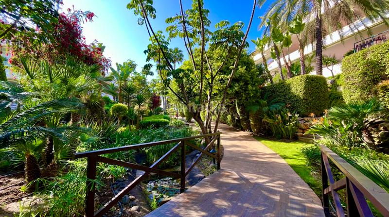 Foto 2c2104cc-570b-4cdd-b969-5caed578e1e5. Alquiler planta baja apartamento en lomas del rey en Marbella