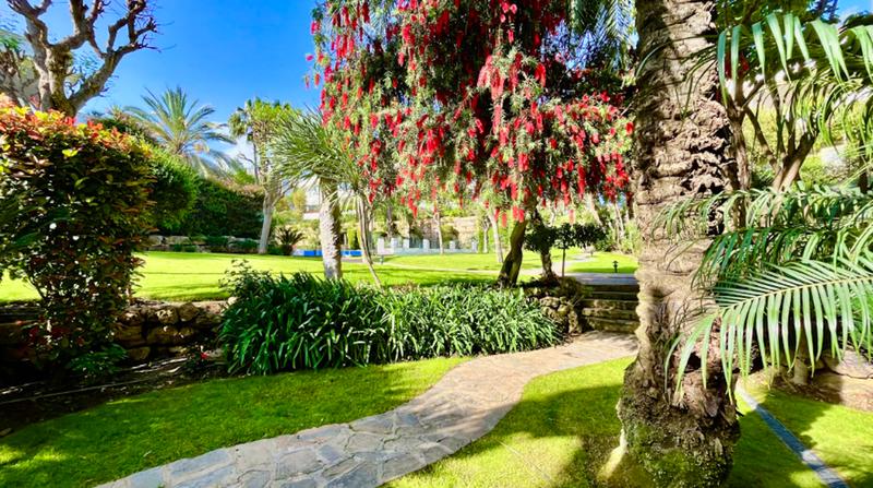 Foto a14bb9a3-ba2d-4070-ab61-a2ea2adfe772. Alquiler planta baja apartamento en lomas del rey en Marbella