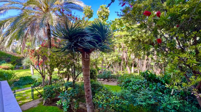 Foto 6f5d3f82-e05c-4e7d-bedd-9001c099e671. Rent ground floor with parking pool in Puente Romano Marbella